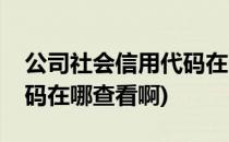 公司社会信用代码在哪查看(公司社会信用代码在哪查看啊)