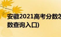 安徽2021高考分数怎么查(安徽2021高考分数查询入口)