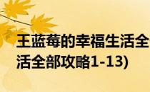 王蓝莓的幸福生活全部攻略(王蓝莓的幸福生活全部攻略1-13)