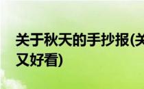 关于秋天的手抄报(关于秋天的手抄报又漂亮又好看)