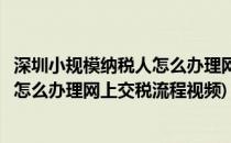 深圳小规模纳税人怎么办理网上交税流程(深圳小规模纳税人怎么办理网上交税流程视频)