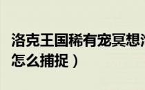 洛克王国稀有宠冥想泡泡捕捉方式（冥想泡泡怎么捕捉）