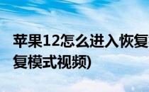 苹果12怎么进入恢复模式(苹果12怎么进入恢复模式视频)