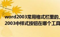 word2003常用格式栏里的上下标快捷按钮如何调出(word2003中样式按钮在哪个工具栏上)