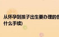 从怀孕到孩子出生要办理的各种手续(从怀孕到出生需要办理什么手续)