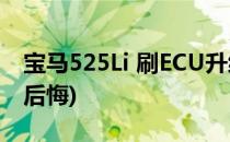 宝马525Li 刷ECU升级方案(525li刷ecu非常后悔)