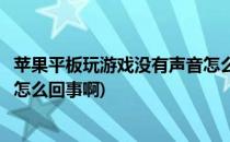 苹果平板玩游戏没有声音怎么回事(苹果平板玩游戏没有声音怎么回事啊)