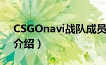 CSGOnavi战队成员都有谁（navi战队成员介绍）