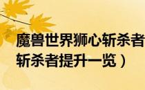 魔兽世界狮心斩杀者属性（wow怀旧服狮心斩杀者提升一览）