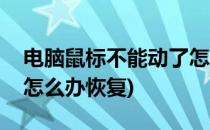 电脑鼠标不能动了怎么办(电脑鼠标不能动了怎么办恢复)