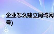 企业怎么建立局域网(企业怎么建立局域网账号)