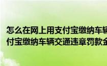 怎么在网上用支付宝缴纳车辆交通违章罚款(怎么在网上用支付宝缴纳车辆交通违章罚款金)