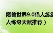 魔兽世界9.0猎人练级天赋选择（wow9.0猎人练级天赋推荐）