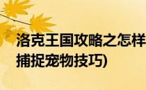 洛克王国攻略之怎样捕捉宠物蓝朵(洛克王国捕捉宠物技巧)