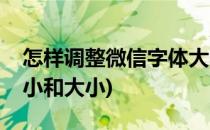 怎样调整微信字体大小(怎样调整微信字体大小和大小)