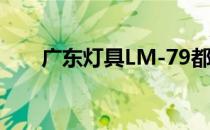 广东灯具LM-79都测试什么项目范围