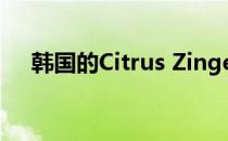 韩国的Citrus Zinger柠檬水杯如何选购