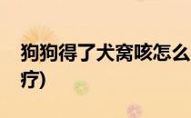 狗狗得了犬窝咳怎么办(狗狗得了窝咳怎么治疗)