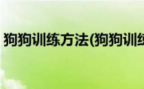 狗狗训练方法(狗狗训练方法与口令视频教程)