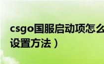 csgo国服启动项怎么设置（csgo国服启动项设置方法）