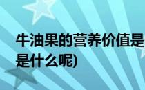 牛油果的营养价值是什么(牛油果的营养价值是什么呢)