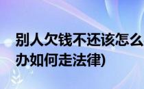 别人欠钱不还该怎么办(别人欠我钱不还怎么办如何走法律)