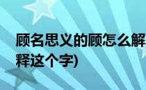 顾名思义的顾怎么解释(顾名思义的顾怎么解释这个字)