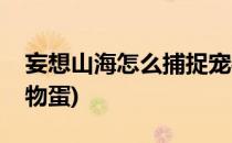 妄想山海怎么捕捉宠物(妄想山海怎么捕捉宠物蛋)