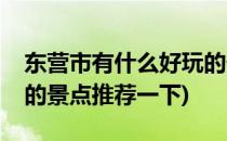 东营市有什么好玩的景点(东营市有什么好玩的景点推荐一下)