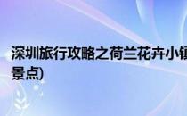 深圳旅行攻略之荷兰花卉小镇一日游(深圳荷兰花卉小镇附近景点)