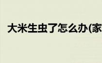 大米生虫了怎么办(家里大米生虫怎么除掉)