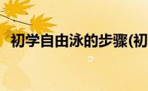 初学自由泳的步骤(初学自由泳的步骤视频)