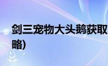 剑三宠物大头鹅获取攻略(剑三大头鹅任务攻略)