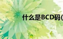 什么是BCD码(什么是BCD码)