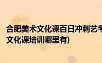 合肥美术文化课百日冲刺艺考文化课补习班课程(合肥美术生文化课培训哪里有)