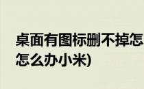 桌面有图标删不掉怎么办(桌面有图标删不掉怎么办小米)