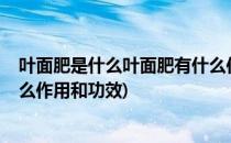 叶面肥是什么叶面肥有什么作用(叶面肥是什么?叶面肥有什么作用和功效)