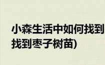 小森生活中如何找到枣子树(小森生活中如何找到枣子树苗)