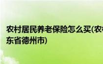 农村居民养老保险怎么买(农村居民养老保险怎么买最划算山东省德州市)