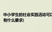 中小学生的社会实践活动可以有哪些(中小学生社会实践活动有什么要求)