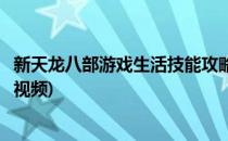 新天龙八部游戏生活技能攻略(新天龙八部游戏生活技能攻略视频)