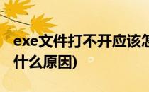 exe文件打不开应该怎么办(exe文件打不开是什么原因)