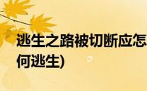 逃生之路被切断应怎么办(逃生通道被切断如何逃生)