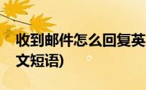 收到邮件怎么回复英文(收到邮件怎么回复英文短语)