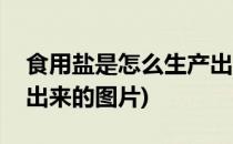 食用盐是怎么生产出来的(食用盐是怎么生产出来的图片)