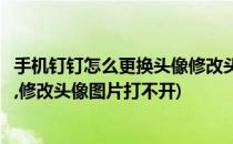 手机钉钉怎么更换头像修改头像图片(手机钉钉怎么更换头像,修改头像图片打不开)