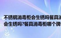 不锈钢消毒柜会生锈吗餐具消毒柜哪个牌子好(不锈钢消毒柜会生锈吗?餐具消毒柜哪个牌子好用)