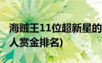 海贼王11位超新星的悬赏金(海贼王超新星11人赏金排名)