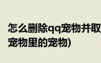 怎么删除qq宠物并取消自动登陆(怎样取消qq宠物里的宠物)