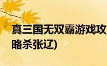 真三国无双霸游戏攻略(真三国无双霸游戏攻略杀张辽)